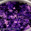 3D Dark Purple Star Flake