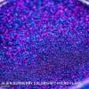 Alien Burberry Colorshift Micro Flake