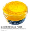 Neon Karat Yellow Pigment