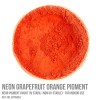 Neon Grapefruit Orange Pigment