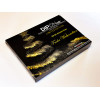 DIPON Adventskalender 2023 - Limited Edition -