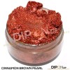 Cinnamon Brown Pearl Liquid Tint